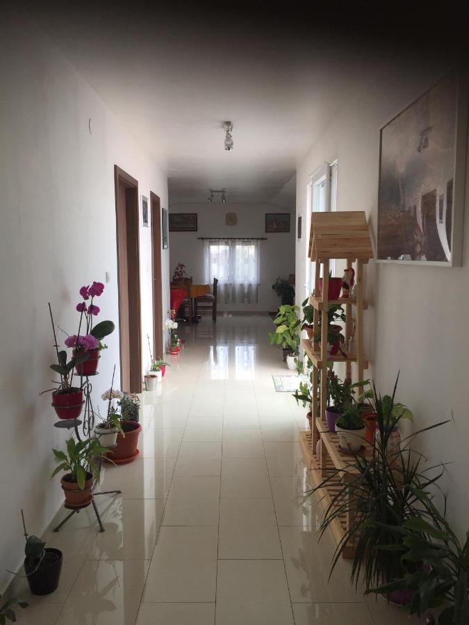 Apartments By The Sea Lun, Pag - 11781 Lun  Zewnętrze zdjęcie